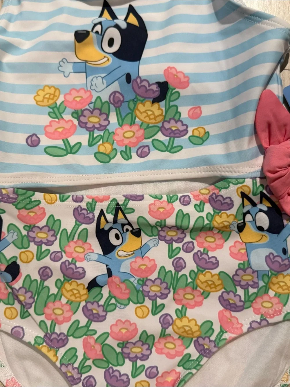 Bluey toddler girls